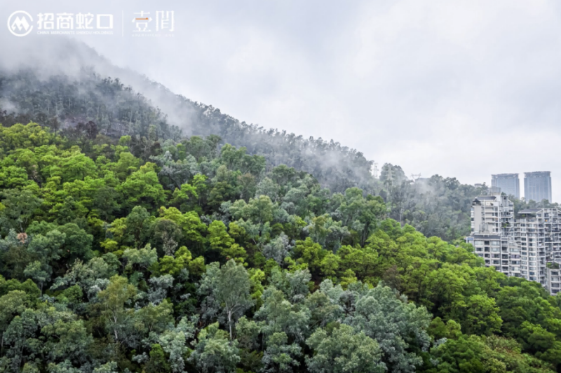 山海相见，居此壹间｜招商蛇口旗下壹间公寓·网谷正式开业